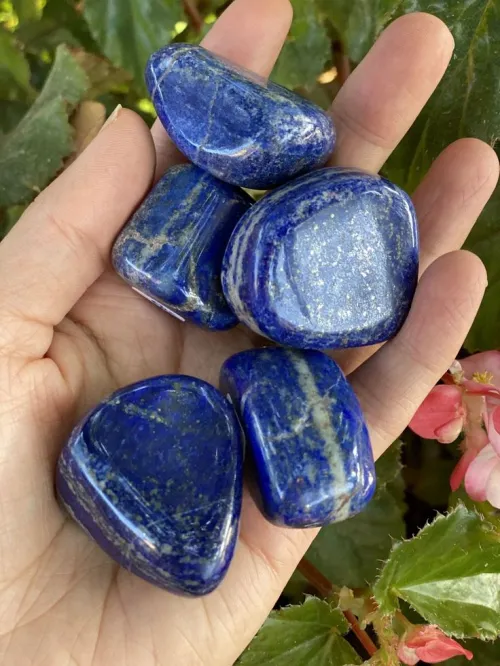 Comparison of raw Afghan and Chilean lapis lazuli showing color and veining differences